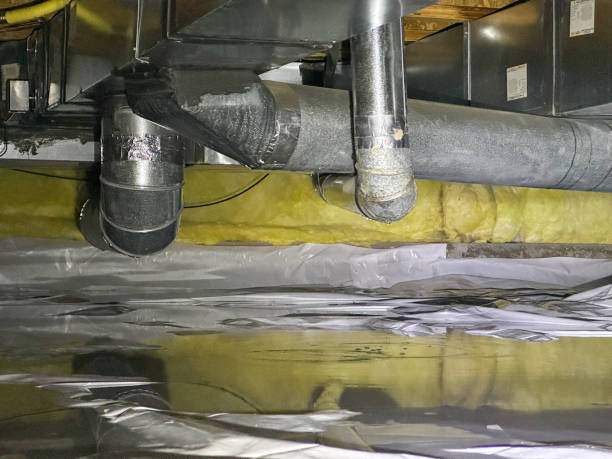 Best Water damage cleanup near me  in Odenville, AL