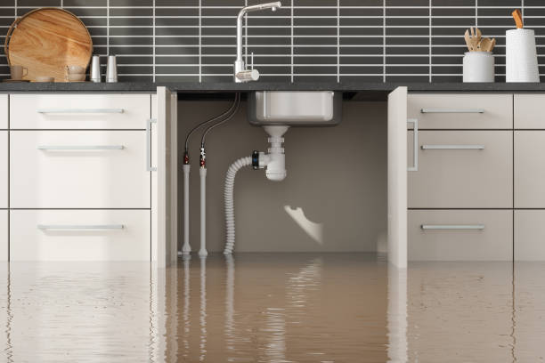 Best Basement water damage restoration  in Odenville, AL