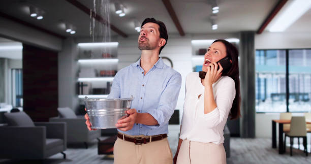 Best Water damage restoration near me  in Odenville, AL