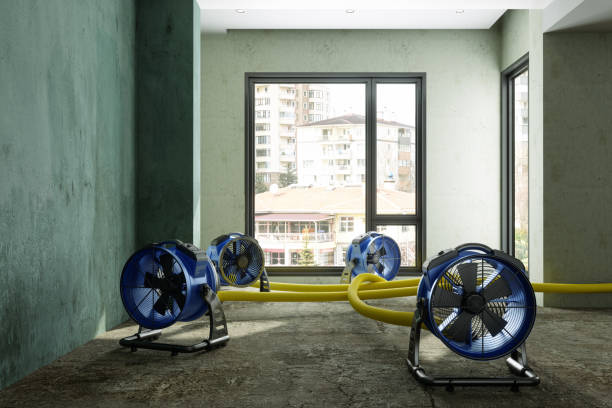 Best Residential water damage restoration  in Odenville, AL